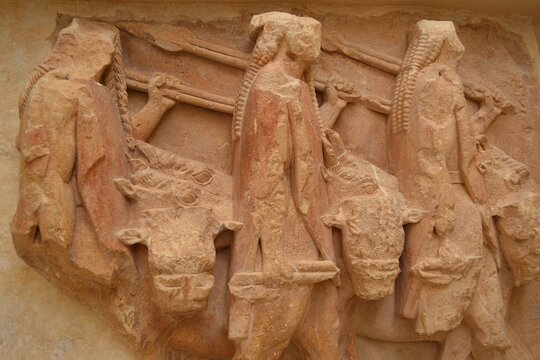 Tour image 12