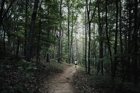 Tour image 4